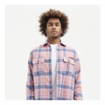 Hydroponic Flamingo pink check camisa